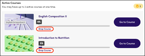 Drop Course 1.png